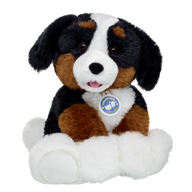 Promise Pets Bernese Mountain Dog