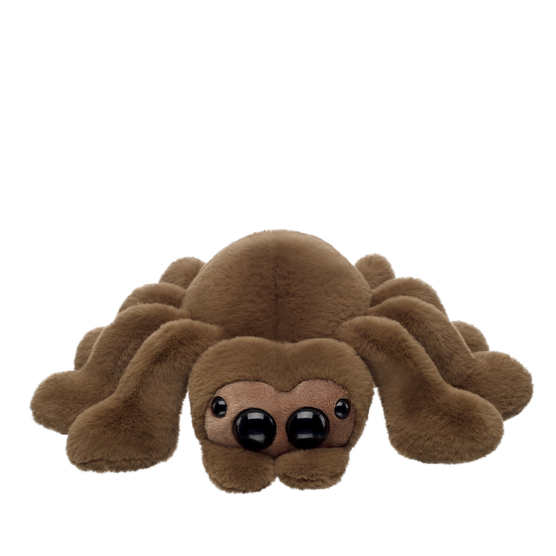 Jumping Spider