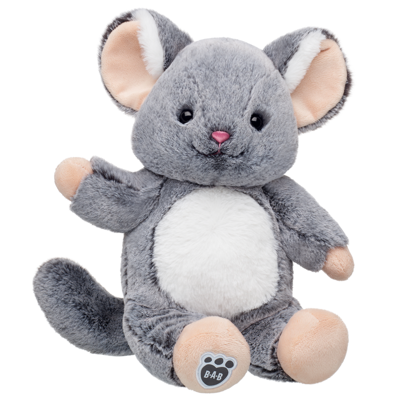Chinchilla