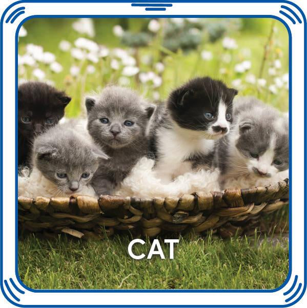 凯蒂猫4合1声音