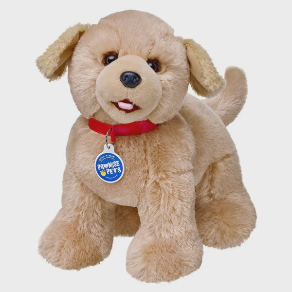 Promise Pets Golden Retriever