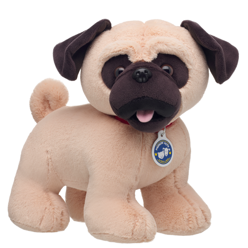 Promise Pets - Pug