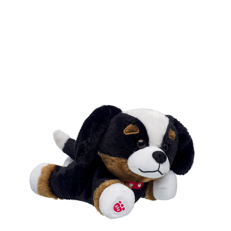 Build-A-Bear Mini Beans® Bernese