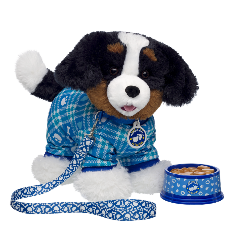 Promise Pets Blue Bowl