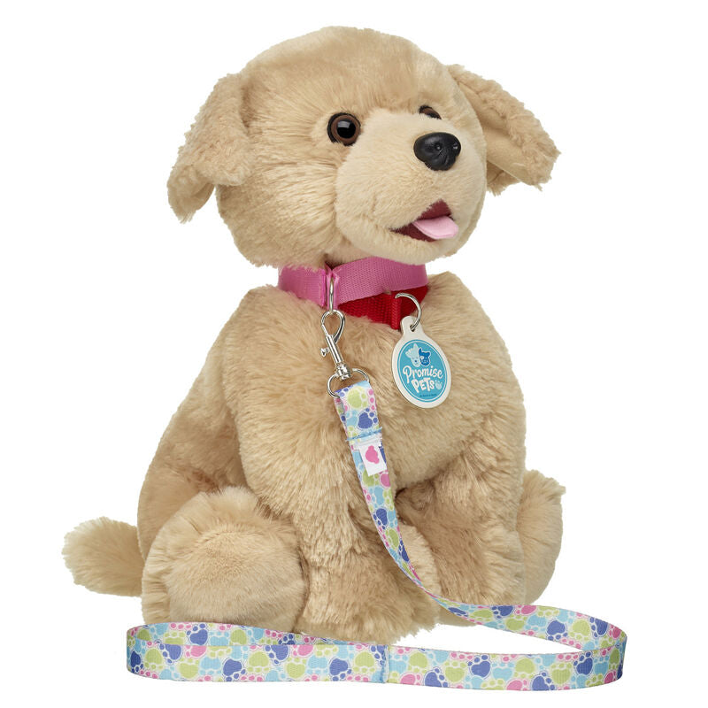 Promise Pet Pink Paw Leash